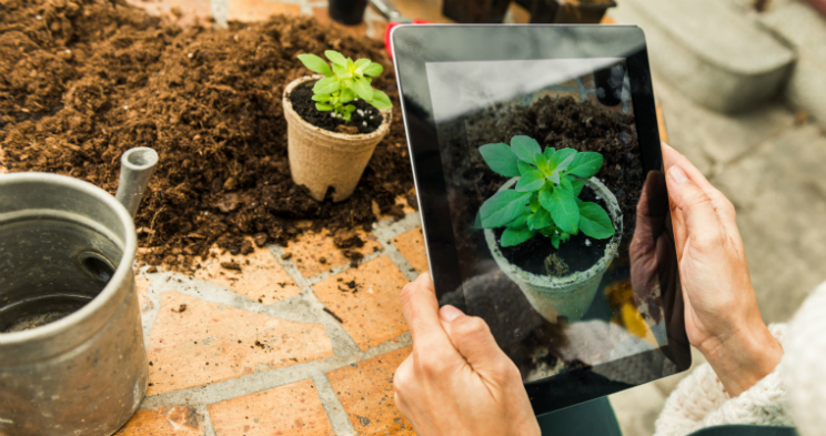 איך לבחור טאבלט