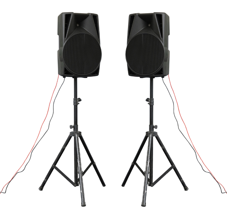 איך לבחור בידורית