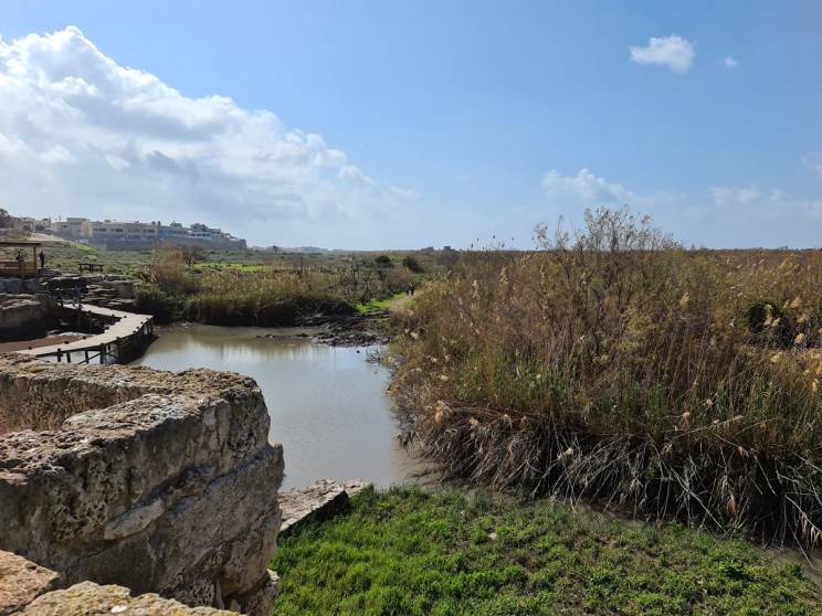 Galaxy S20 Ultra: מעבד חזק, מצלמה בינונית