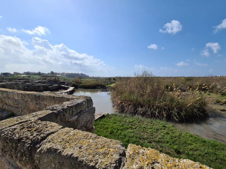 Galaxy S20 Ultra: מעבד חזק, מצלמה בינונית