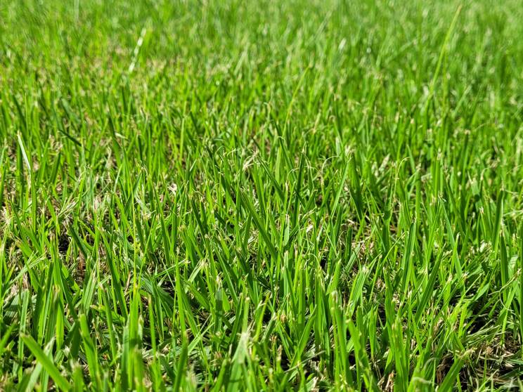 Samsung Galaxy S20 FE 5G: המעבד שתמיד רצינו