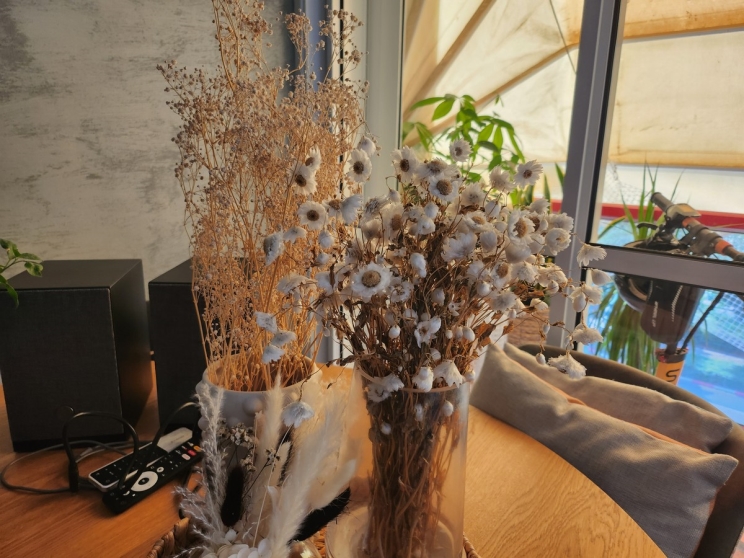 Samsung Galaxy Z Flip 4: ממשיך לגרור מבטים Samsung Galaxy Z Flip 4: ממשיך לגרור מבטים