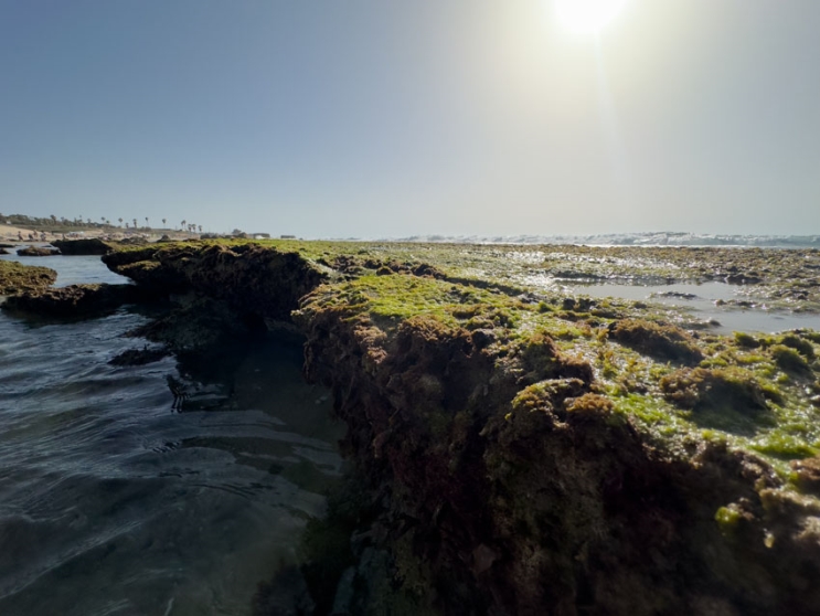 iPhone 14 Pro: שדרוג מינימלי