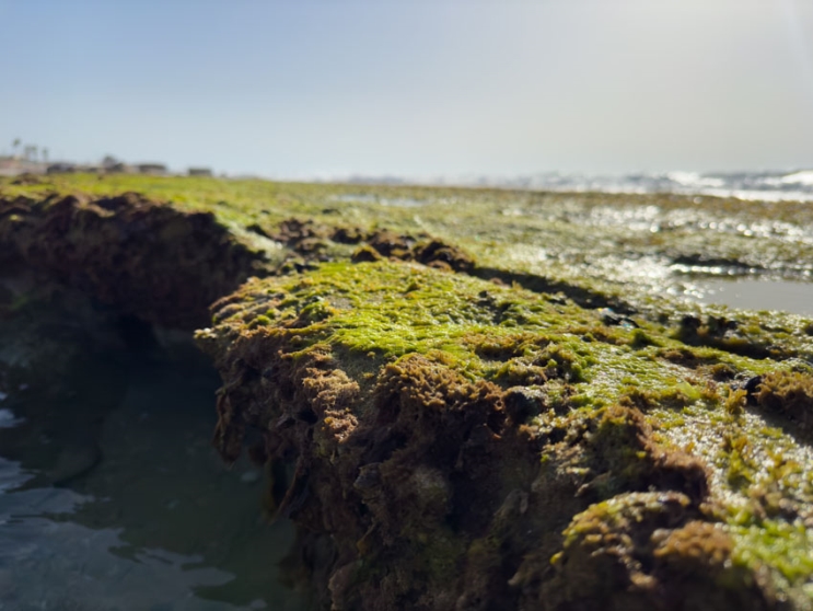 iPhone 14 Pro: שדרוג מינימלי