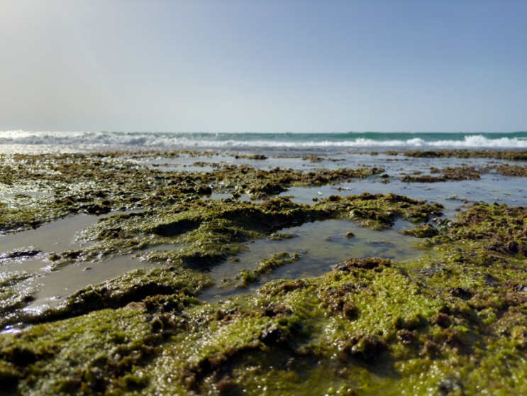 iPhone 14 Pro: שדרוג מינימלי