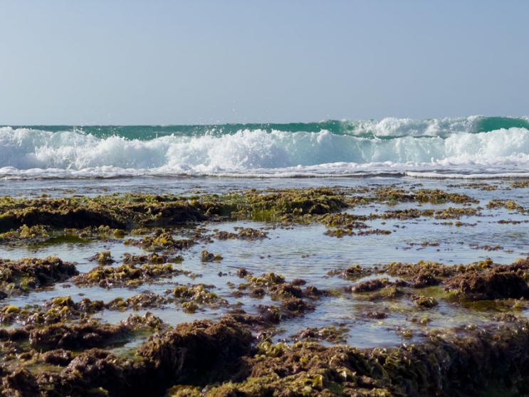 iPhone 14 Pro: שדרוג מינימלי