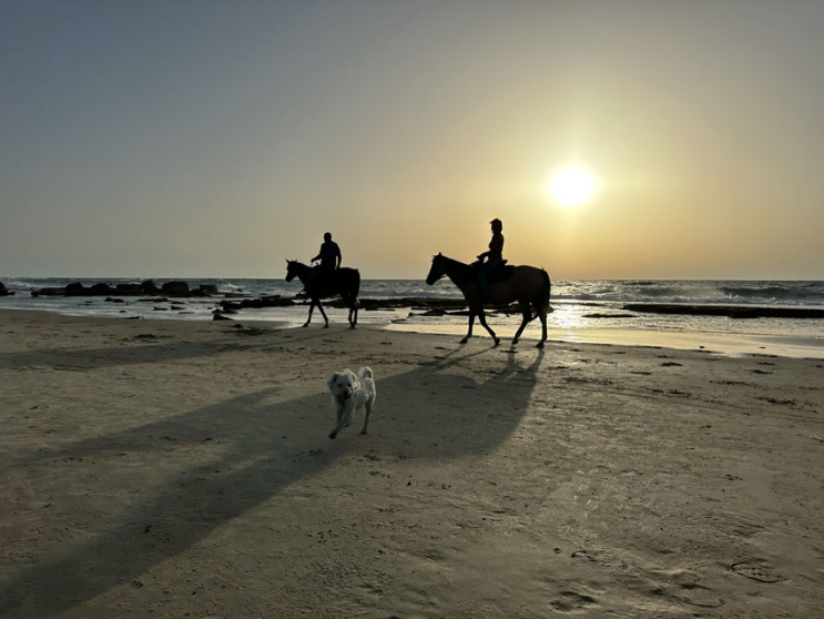 iPhone 14 Pro: שדרוג מינימלי