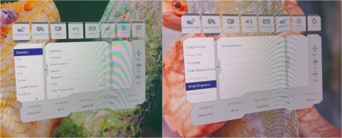 Philips Evnia 34M2C3500L: המחיר תחרותי, המפרט פחות