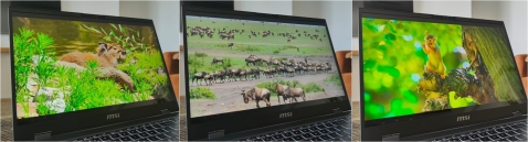 MSI Prestige A16 AI+ A3HMG: בולט בביצועים