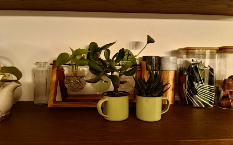 Lenovo Idea Tab Plus TB361FU: מעולה לצפייה, פחות לעריכה