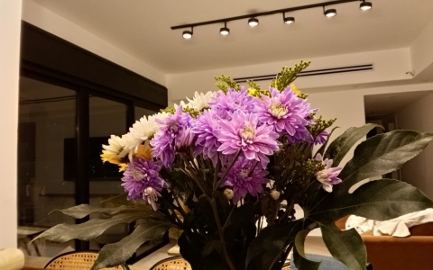 Lenovo Idea Tab Plus TB361FU: מעולה לצפייה, פחות לעריכה Lenovo Idea Tab Plus TB361FU: מעולה לצפייה, פחות לעריכה