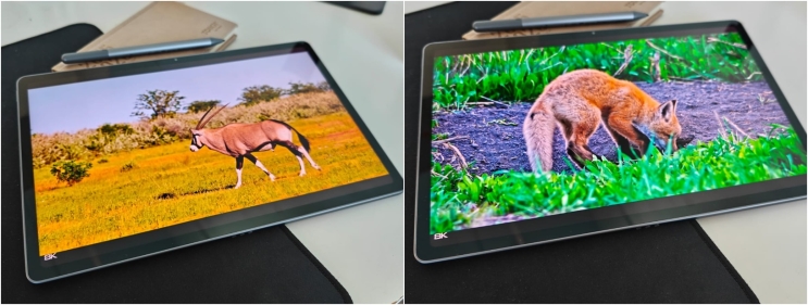 Lenovo Idea Tab Plus TB361FU: מעולה לצפייה, פחות לעריכה