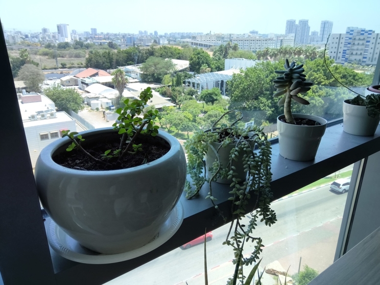 wisebuy review photo - 5