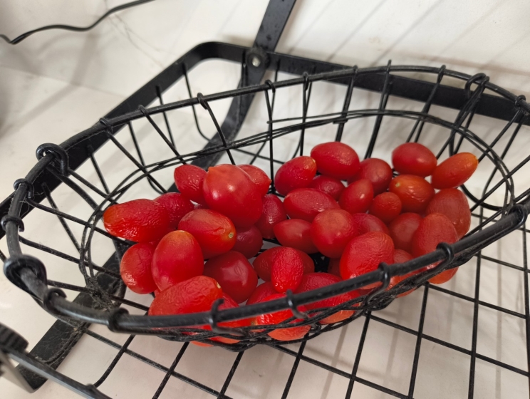 CMF Phone 2 PRO: ראש מחלקת המשתלמים