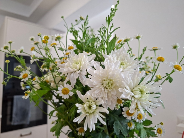 Samsung Galaxy A56 5G: כמעט לא מרגיש ביניים