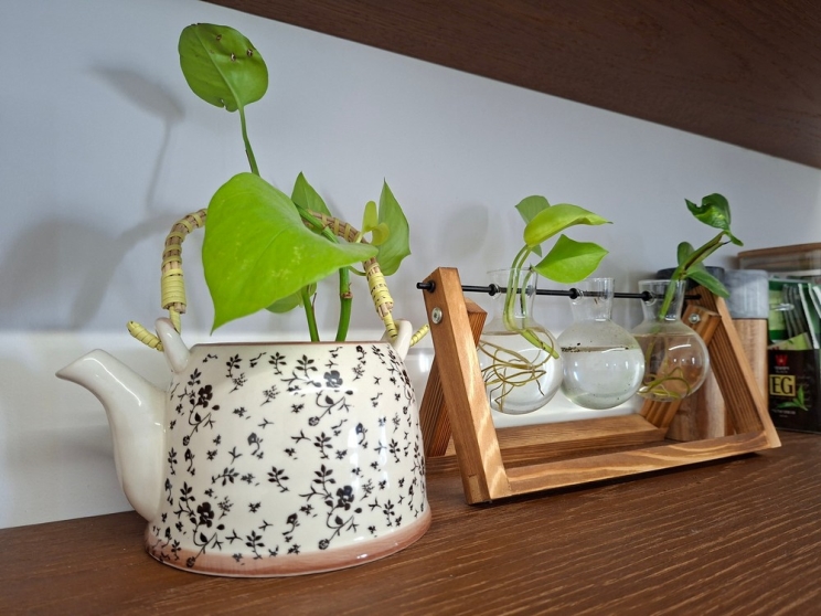 Samsung Galaxy A56 5G: כמעט לא מרגיש ביניים