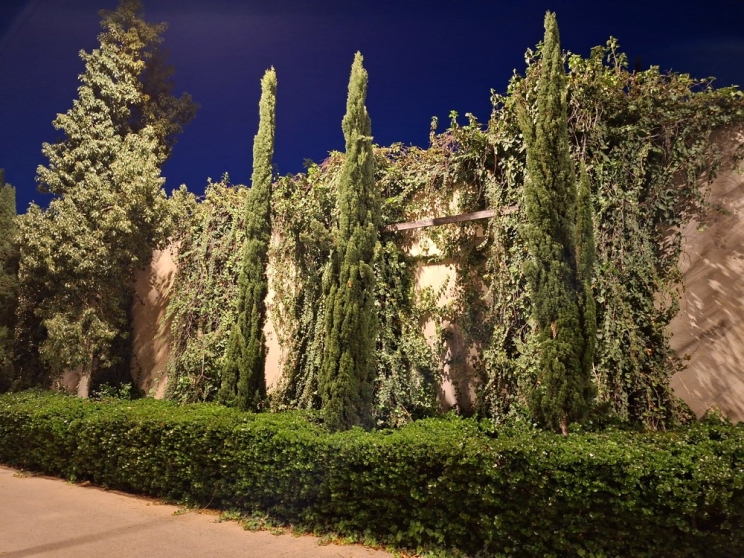 Samsung Galaxy A56 5G: כמעט לא מרגיש ביניים