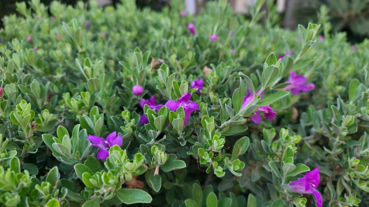 wisebuy review photo - 13