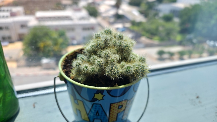 wisebuy review photo - 12