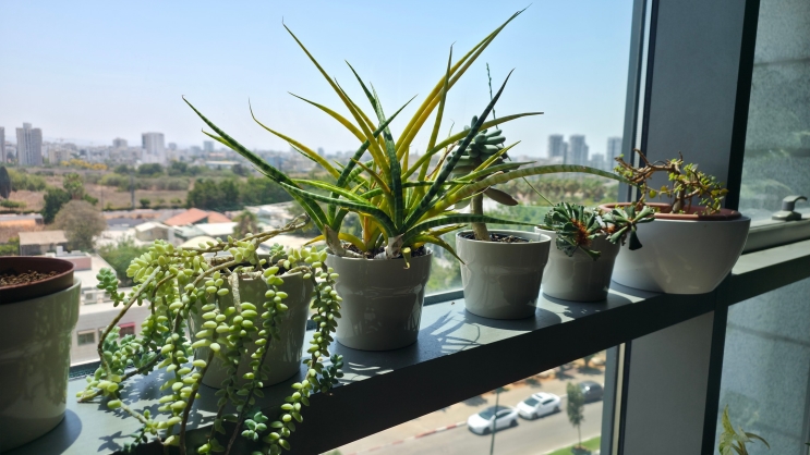 wisebuy review photo - 6