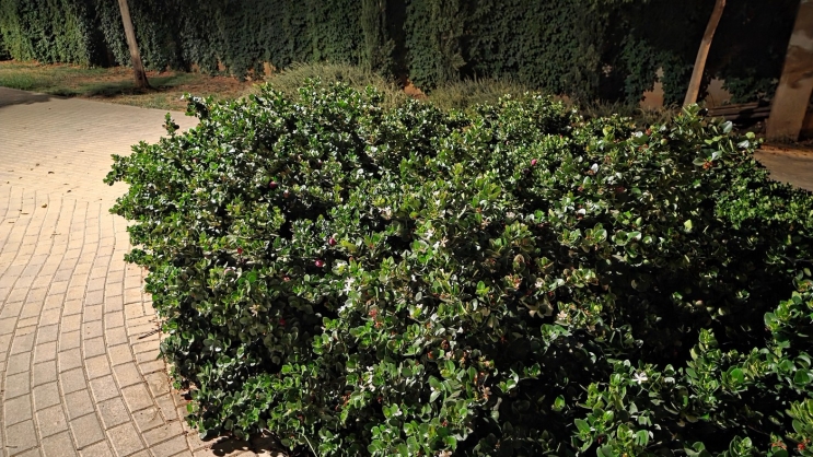 wisebuy review photo - 3