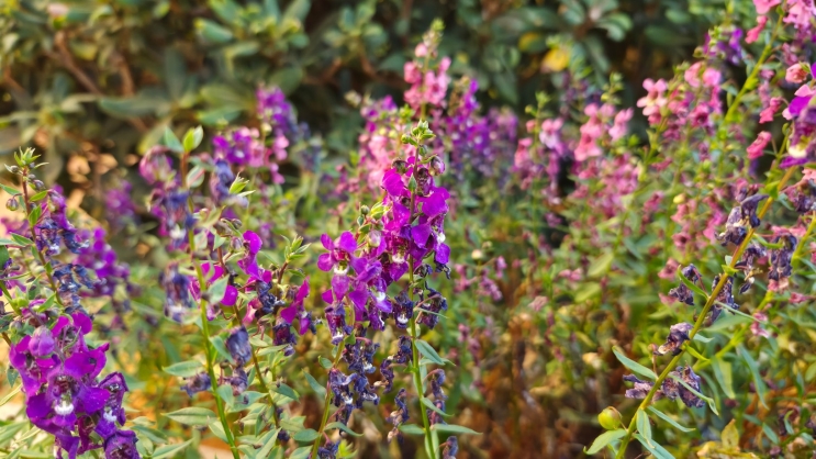 wisebuy review photo - 5