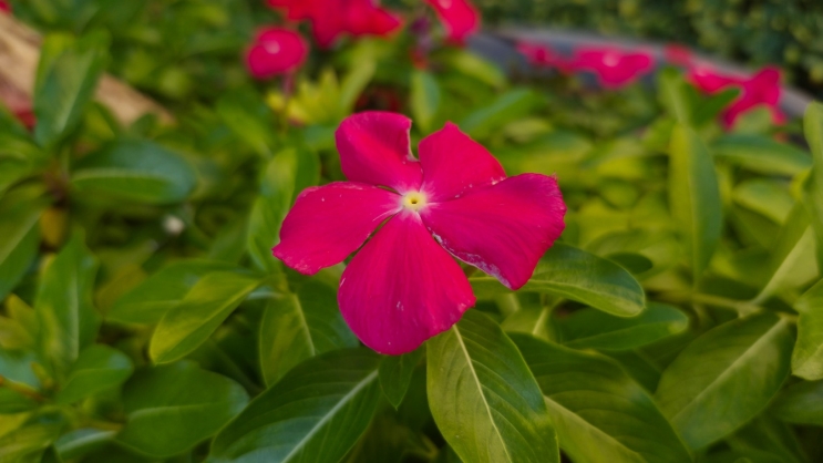 wisebuy review photo - 2