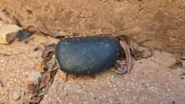 wisebuy review photo - 0