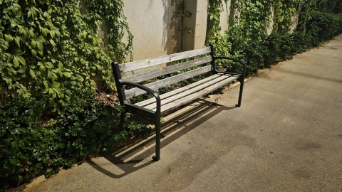 Samsung Galaxy S25 FE: רף גבוה לקטגוריית הביניים