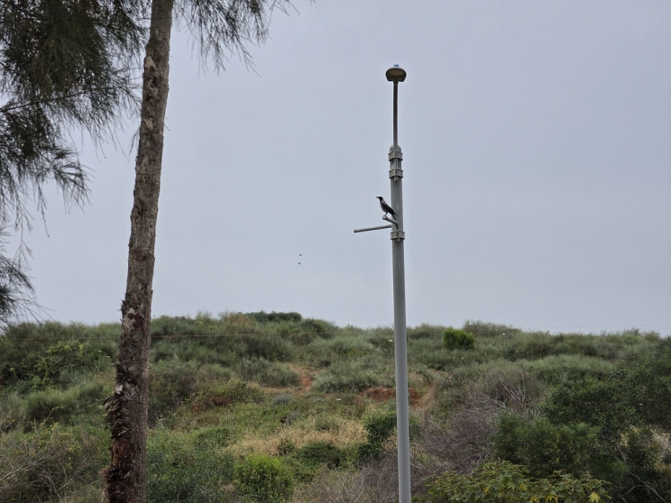 Samsung Galaxy S26 Ultra: חידוש אמיתי Samsung Galaxy S26 Ultra: חידוש אמיתי