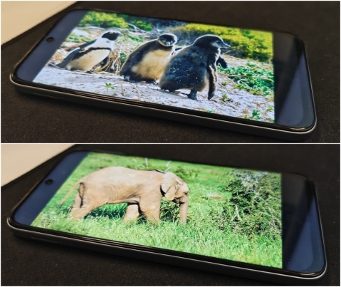 OPPO A6x: לא מיועד לעבודה קשה