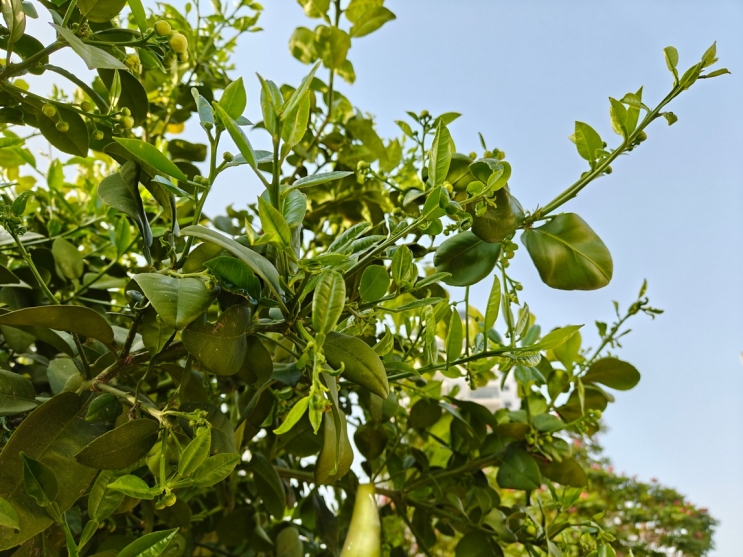 wisebuy review photo - 13