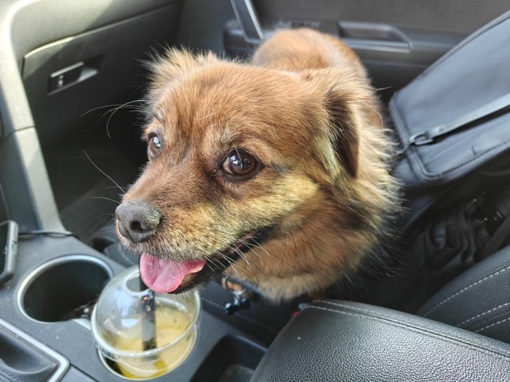 OnePlus 13R: מכשיר דגל במחיר נגיש