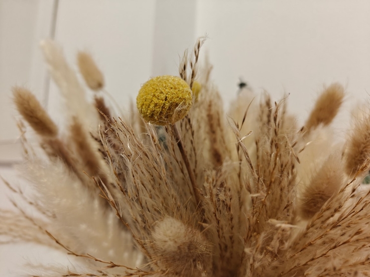 OnePlus 13R: מכשיר דגל במחיר נגיש