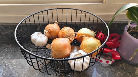 OPPO Find N5: מתקפל מצטיין