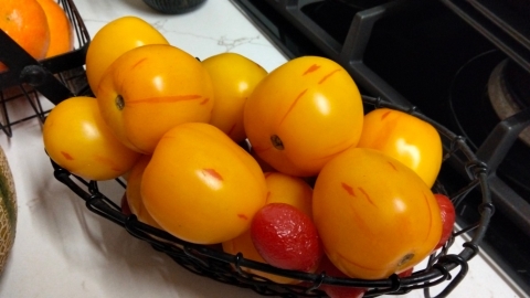 OPPO A6x: לא מיועד לעבודה קשה