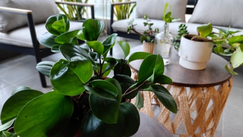 OnePlus 15R: מכשיר דגל במחיר ביניים