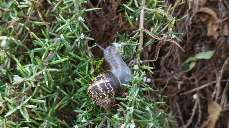 wisebuy review photo - 8