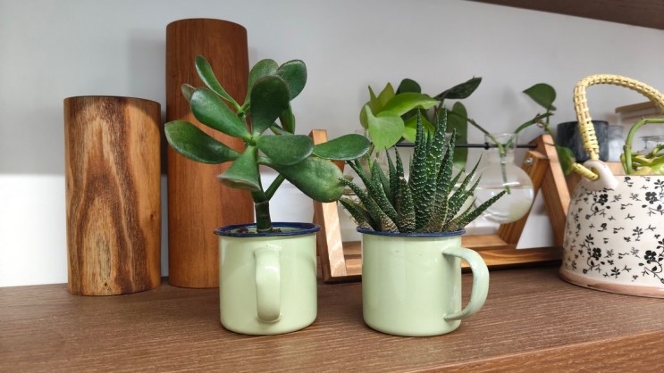 wisebuy review photo - 5