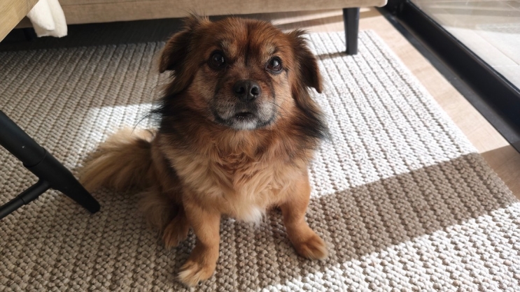 wisebuy review photo - 7