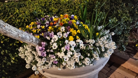 OPPO Reno15 F 5G: עמידות מרשימה, קושי בביצועים