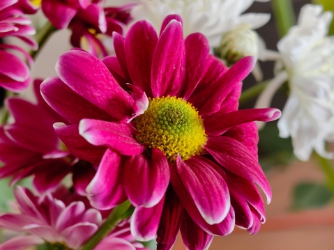 Nothing Phone (3A) Pro: מכשיר לקהל המעריצים