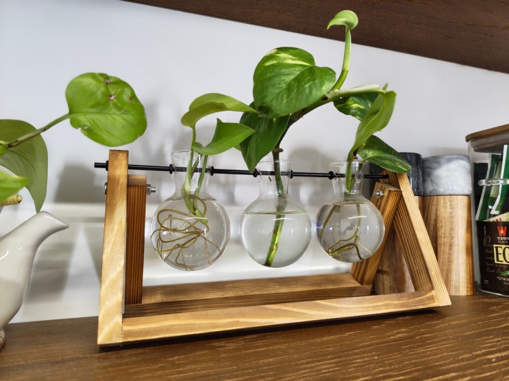 Nothing Phone (3A) Pro: מכשיר לקהל המעריצים