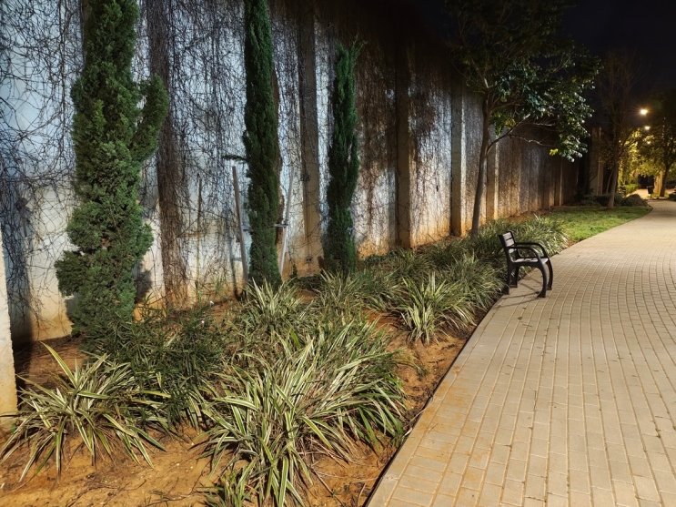 Nothing Phone (3A) Pro: מכשיר לקהל המעריצים