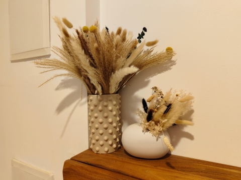 VIVO V40 5G: מבקש צ'אנס