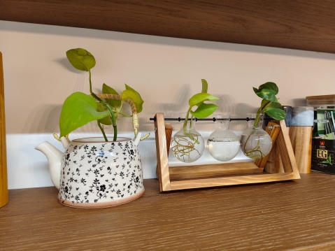 VIVO V40 5G: מבקש צ'אנס