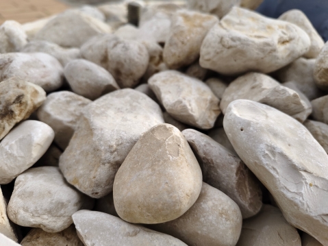 VIVO V40 5G: מבקש צ'אנס