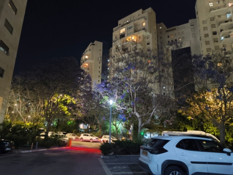 CMF Phone 2 PRO: ראש מחלקת המשתלמים