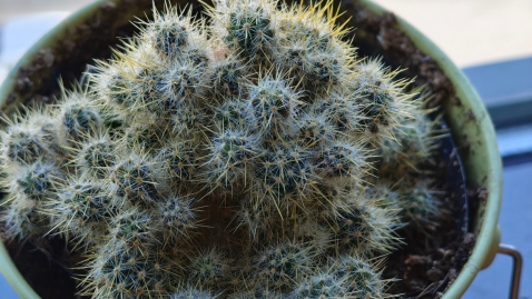 Nothing Phone (3): ניסיון ראוי להערכה