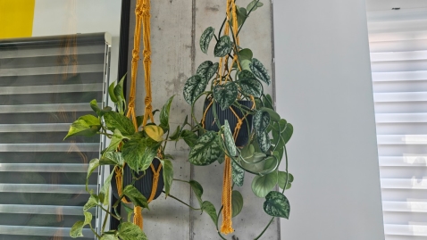 Nothing Phone (3): ניסיון ראוי להערכה